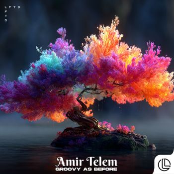 Amir Telem - Groovy as Before