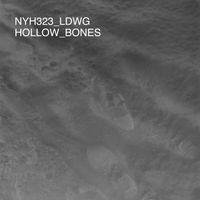 LDWG - Hollow Bones