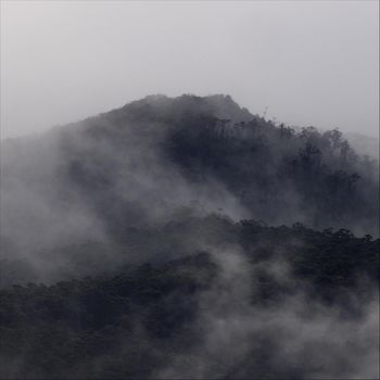 Headland - Southern Edge