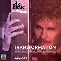 D.C. LaRue - Cathedrals Transformation