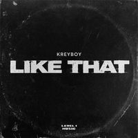 Kreyboy - Like That