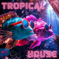 Skip Armstrong - Tropical House