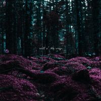 Mayple - Will o' the Wisp