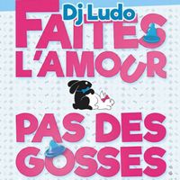 Dj Ludo - Faites l'amour, pas des gosses!