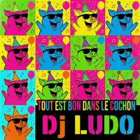 Dj Ludo - Tout est bon dans le cochon