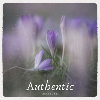 Beatboxx - Authentic