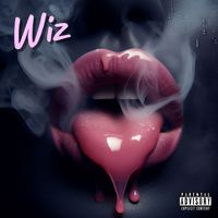 WIZ - Wrong Number (Remix) (Explicit)