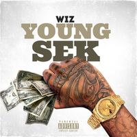 WIZ - Young Sek (Remix) (Explicit)