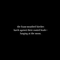Norwood - Haiku