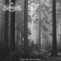 Surveyor - Under The Forest's Gaze