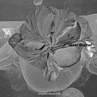 UNQUIET MUSIC LTD - Heart Re-Sync
