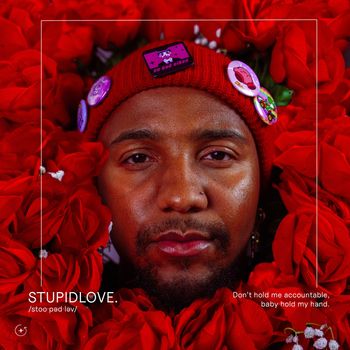 chromonicci - STUPIDLOVE.