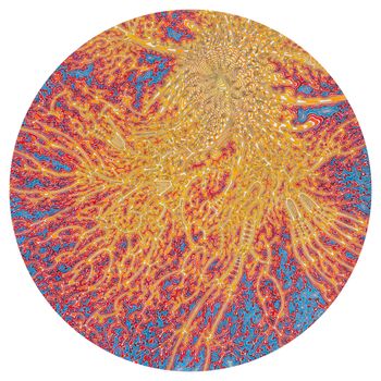 Max Cooper - Ebb + Flow