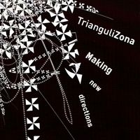 TrianguliZona - Making New Directions