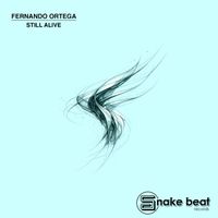 Fernando Ortega - Still Alive