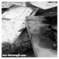 Dan Ward - See Through Me