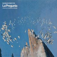 Babasónicos - La Pregunta (Colyn & Von Boch Remix)