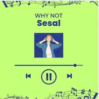 WHY NOT - Sesal