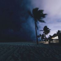 aurelia - Nightcrawler You (Explicit)