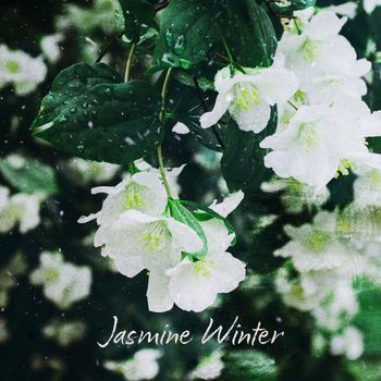 Various Artists - Jasmine Winter