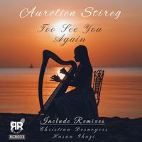 Aurelien Stireg - To See You Again