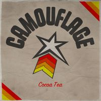 Cocoa Tea - Camouflage (Don't Test Me Riddim)