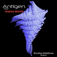 Antigen - So What (Brooklyn SafeHouse ReWork)