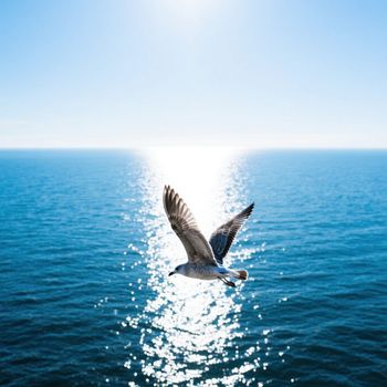 Swayze - Vou cuidar de mim