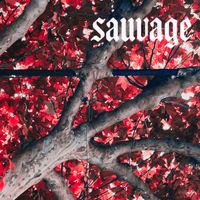 Sauvage - Sauvage