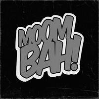 Blaynoise - Moombah!
