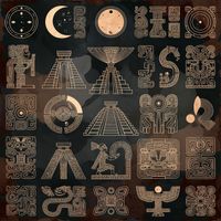 Dolphins - I Ask for the Light in Order to See