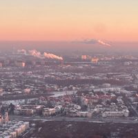 FORREST - House of Eniz