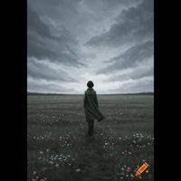YUSUF - Shamollar