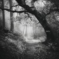 SAEV - Our Sacred Woods