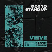 Veive - Got To Stand Up