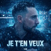 Flow - Je t’en veux
