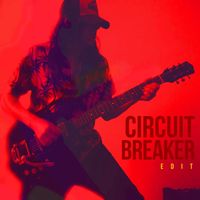 Ken Stringfellow - CIRCUIT BREAKER (Edit)