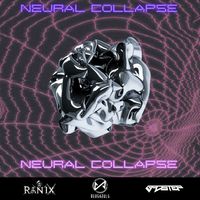 B4DST3P - Neural Collapse