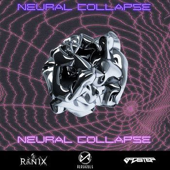 B4DST3P - Neural Collapse