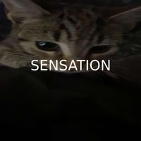 SENSATION - superVISION (Explicit)