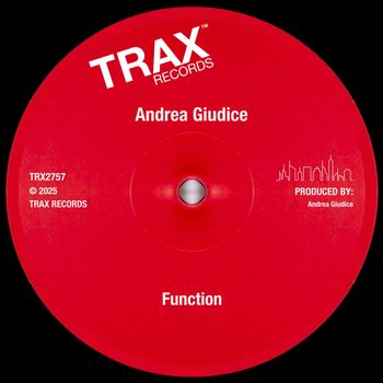Andrea Giudice - Function