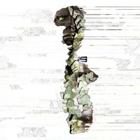 Joe Hicks - The Architect