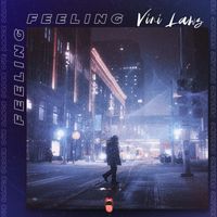 Vini Lawz - Feeling