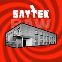 Saytek - Polyphony
