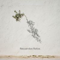 Hermosa - Recuerdos Rotos