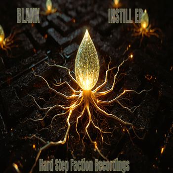 BLANK - INSTILL