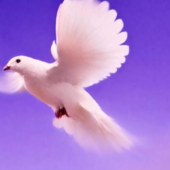 Gizeh - White Doves