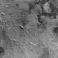 Stanislav Balvas - ANGRY BOY