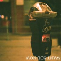 Marlon Funaki - Want You Now