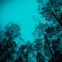 Adriel - recalling memories